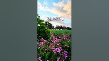 قرآن كريم _ القارئ: أحمد دياب