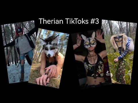 Therian tiktoks#4 