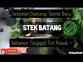 [ TUTORIAL] Pokok cepat berbuah dengan Teknik ini | Teknik Stek