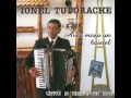 Avea moșu-n băiețel - Ionel Tudorache