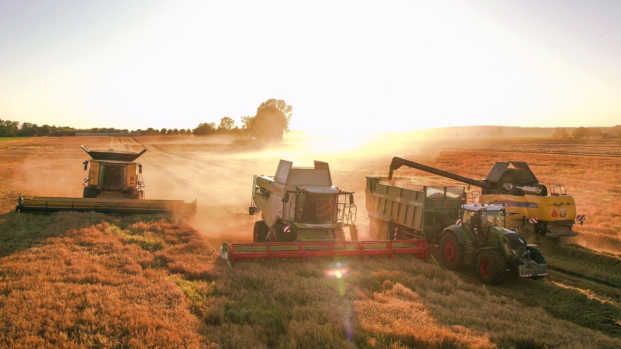 Gr.Majchrzycki! Czyli Wielkopolskie Żniwa 2025 Na Wielką Skalę | @Majcholl