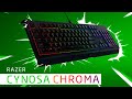 RAZER CYNOSA CHROMA обзор клавиатуры.