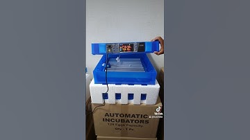 128 eggs incubator