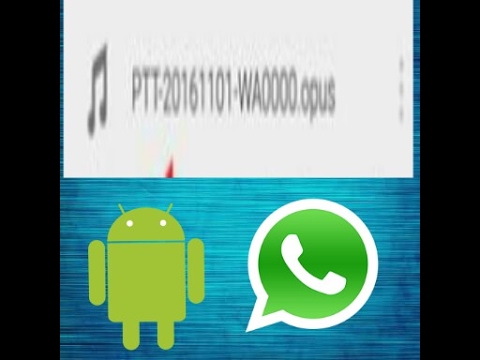 Como ouvir arquivos no formato opus do whatsapp no android