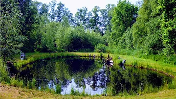 Are ponds natural or man made?