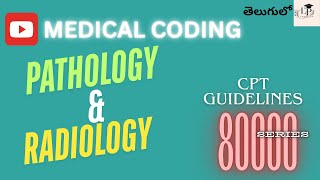 Pathology & Radiology CPT Guidelines | CPT Guidelines 80000 Series | Medical Coding 2025