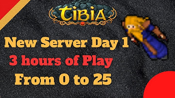 Starting a Mage from 0 on a New Server (Day One)