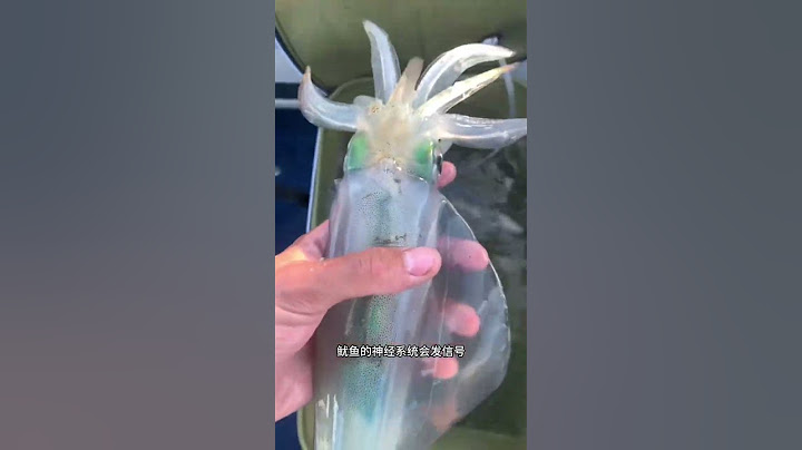 如果臉上被魷魚噴到墨汁，可不要用幹紙巾去擦臉！ #魷魚 #墨汁 #有趣 #臉上