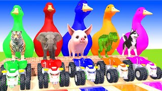 4 Giant Duck Cartoon,Lion,Cow,rabbit,Gorilla,Elephant,Zebra Wild Animals Crossing Fountain 2023