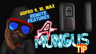 Gopro Hero Max |10 | 9 | The Remote Features