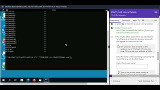 sec lab29b investigate high CPU usage ADAPTIVE LAB  Using a Playbook