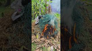 🔥 Amazing Fire in Slow Motion! #Shorts#fire #flames #burning #viral #trending #shorts #youtubeshor