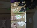 طرابق لمنسباتكم وافراحكم2024 
