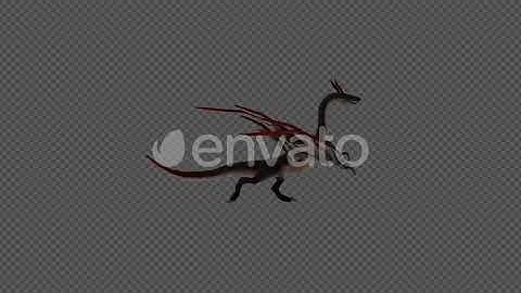 Microraptor Dinosaur Walk Pack 4IN1 | Motion Graphics - Envato elements