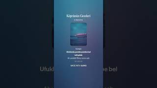 Köprünün Geceleri