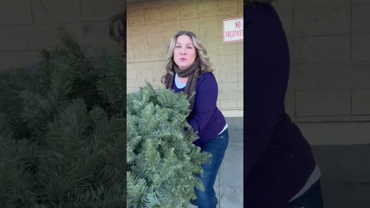 Karen Tried To Steal My Christmas Tree Final Part Shorts