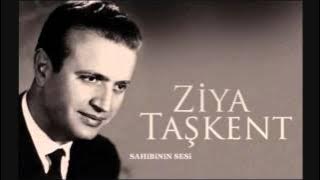 Ziya Taşkent - SÖYLEYEMEM DERDİMİ
