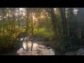 Jordan River Nastyona Best Part Looped Jordan River Nastyona Best Part Looped