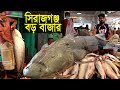 সিরাজগঞ্জের বড়বাজারে যমুনা নদীর বিশাল বিশাল বাঘাইড়, আইড় ও বোয়াল মাছ কেমন দামে বিক্রি হয়