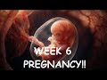 6 Weeks Pregnant – Baby Size, Symptoms, Do’s and Don’ts | Week 6 Pregnancy Guide.