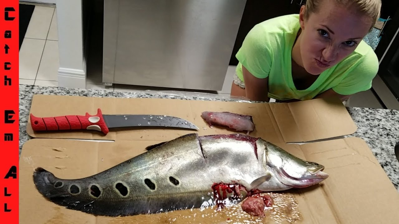pikelets Alien Fish Catch and Cook ClownknifeFish!