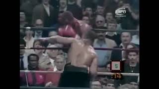 Mike Tyson's Knockouts and Defeats
