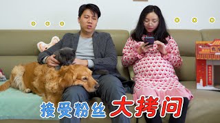 When asked by netizens "Will I abandon my dog if I have a child", I fell into silence