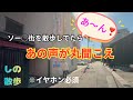 【ヤバイ】ソー◯街を散歩してたら響き渡るあの声 イヤホン必須