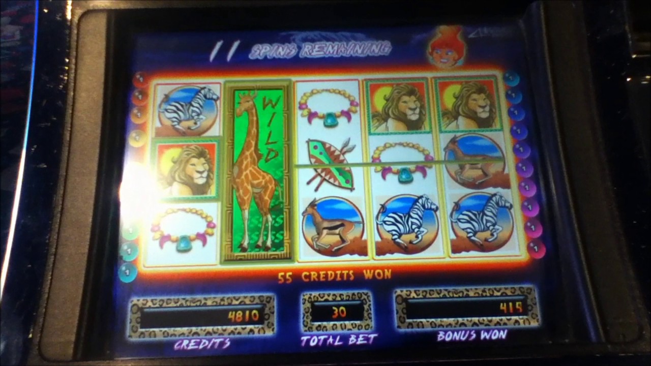 Hot Hot Penny Slot King Of Africa Hot Hot Penny Slot King Of Africa