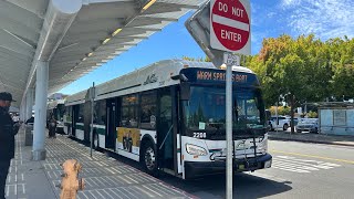 BART BUS BRIDGE || 2013 New Flyer Xcelsior XD60 #2208 (Full Route to Warm Springs from Union City)