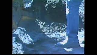 Wilfley Family - Digging Pool 1990 Part 2