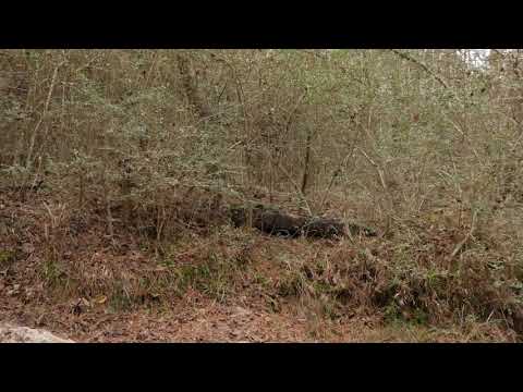 (4K) Test 2