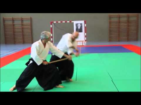 Bruno Gonzalez Aikido Rosheim été 2013 [Mhysa]