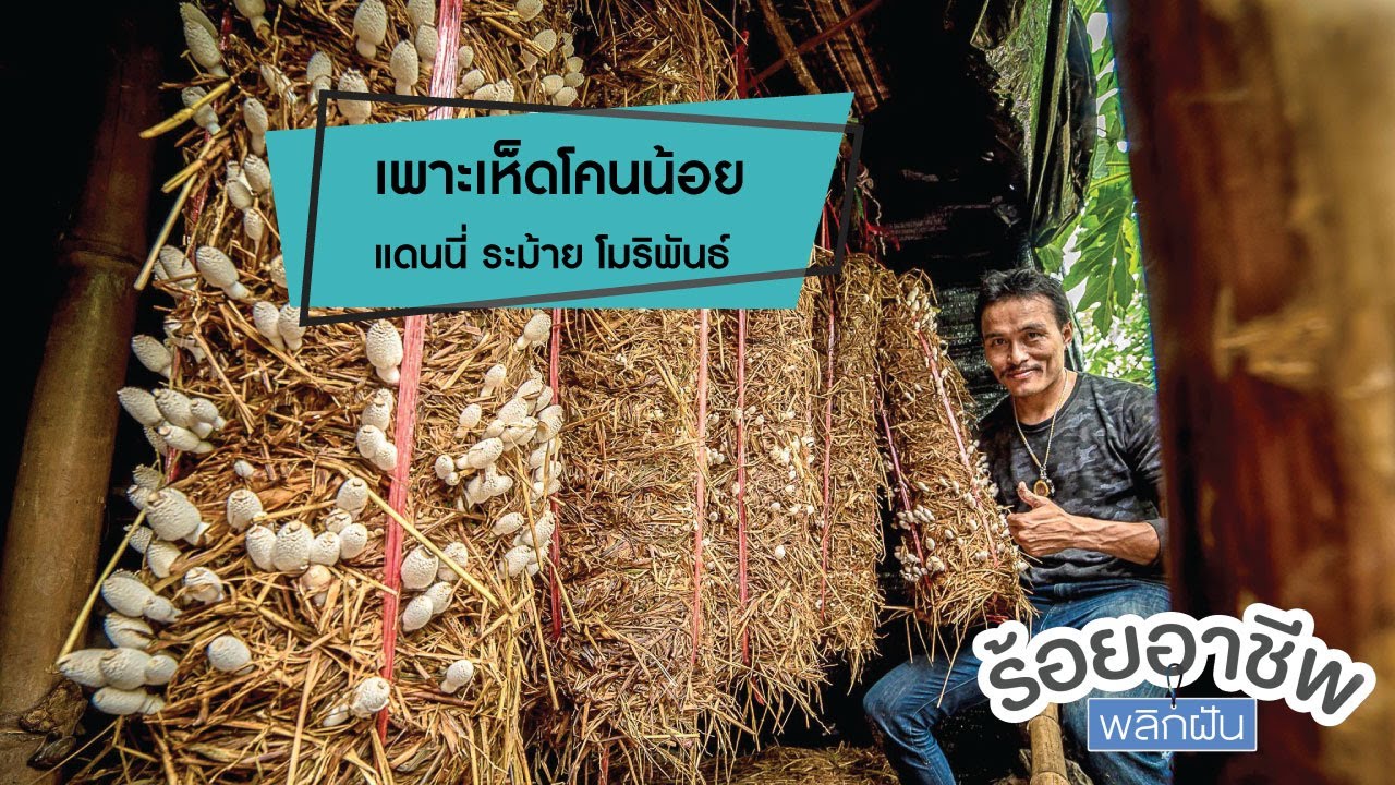 Munwork Production ร้อยอาชีพพลิกฝัน l เทปเพาะเห็ดโคนน้อย (คุณแดนนี่) 6/10/61