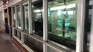 Osaka Metroニュートラム200系19編成パンダ