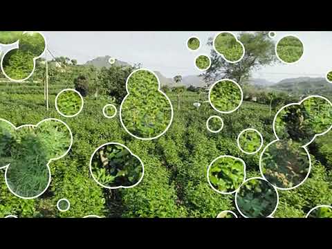 اجمل منظر في اليمن حجه افلح اليمن جياح 