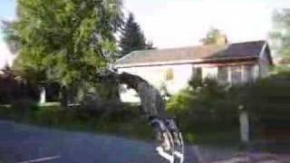 More powerisers from Norway