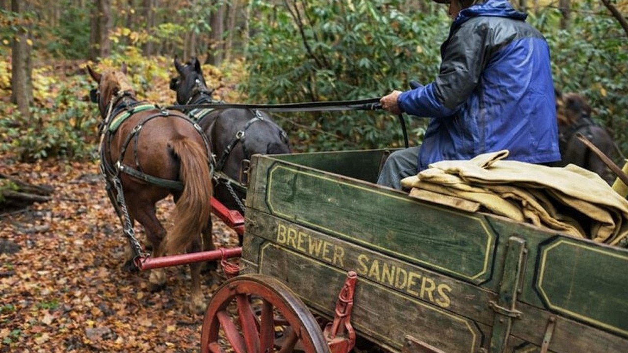 Sinh Tồn Hoang Dã : Người Đàn Ông Thép Giữa Núi Rừng: Thuộc Da Thú Và Chiến Đấu Với Gấu Đen