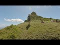Running dangerously down mountain le pouce mauritius from top to the river pov