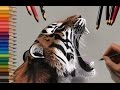 Speed Drawing: Tiger | Jasmina Susak