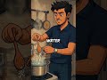 Fact or Fable: Salt Had a Wilder Past Than You Think 🧂