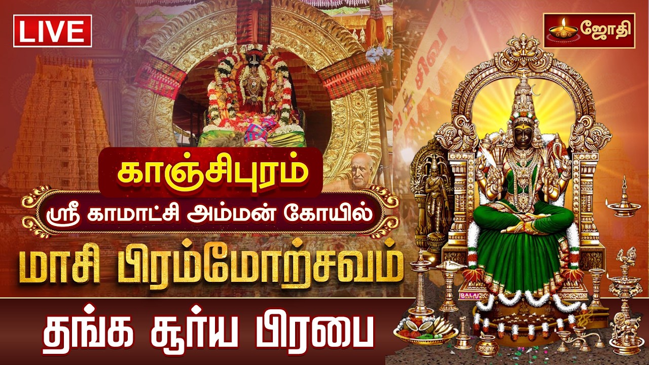 🔴LIVE: காஞ்சி ஸ்ரீ காமாட்சி அம்மன் கோயில் மாசி பிரம்மோற்சவம்  தங்க சூரிய பிரபை வாகனம்  | jothi tv