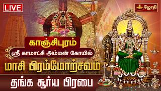🔴LIVE: காஞ்சி ஸ்ரீ காமாட்சி அம்மன் கோயில் மாசி பிரம்மோற்சவம்  தங்க சூரிய பிரபை வாகனம்  | jothi tv