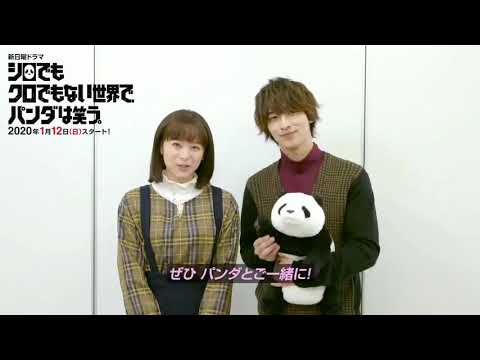 横浜流星出演のドラマ「シロクロ」は、1月12日スタート！
