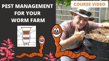 VIDEO 15: How to Manage Pests in Your Worm Farm VIDEO COURSE