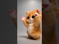 Extreme Cuteness Ahead! 🐱cute kitten, #cat shorts,#viral#funny cats, #fyp#trending#shorts#usashorts