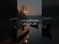 hazrat Ali say's #hazratali #qoutes #urdupoetry #viral