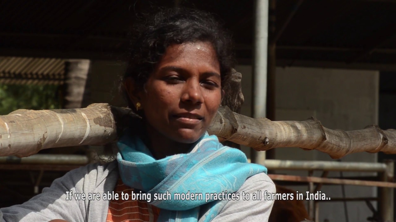 Selvi an Indian Entrepreneur