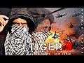 Tiger 3  tiger zinda hai  ek tha tiger  tiger salman khan movie  bollywood movie  tiger 3