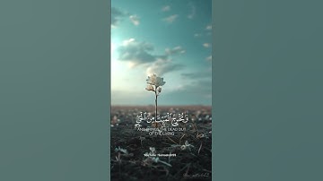 يخرج الحي من الميت ويخرج الميت من الحي 👆 سورة الروم _ فارس عباد